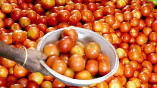 Stock Market: అప్పుడు రూ.10 వేలు పెడితే.. ఇప్పుడు రూ.20 కోట్లు అ‍య్యాయి! పెట్టుబడిదారులను కోటీశ్వరులను చేసిన కంపెనీలు ఇవే!