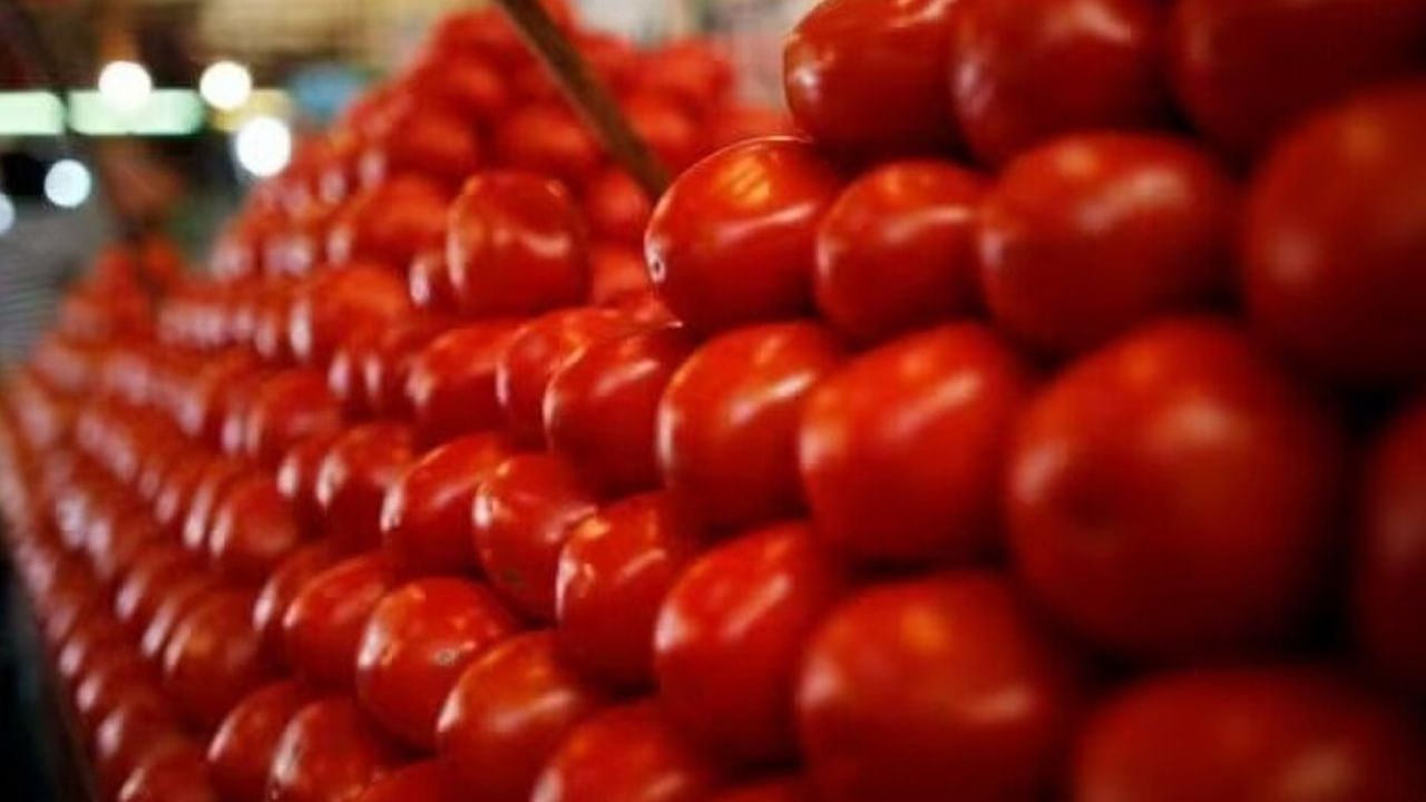 Tomato Price 1