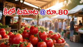 Andhra Pradesh: కొత్త జిల్లాల ఏర్పాటు అంశంపై సీఎం చంద్రబాబు కీలక ఆదేశాలు.. మరోసారి..