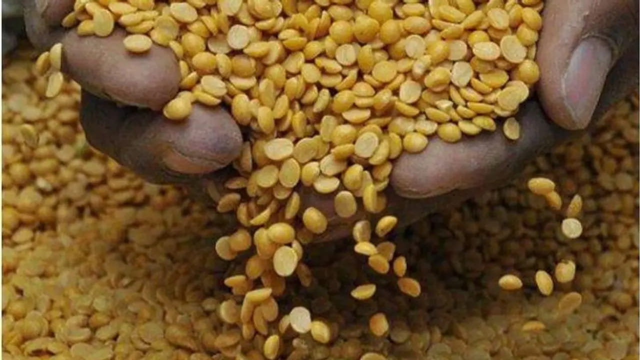 అంతే కాకుండా కిడ్నీ సమస్యలు ఉన్నవారు కంది పప్పు తినడం వలన కిడ్నీ రాళ్ల ప్రమాదం పెరుగుతుందంట. అంతే కాకుండా ఇది ఎలాంటి కిడ్నీ సమస్యలనైనా పెంచే ఛాన్స్ ఉన్నదంట. అలాగే యూరిక్ యాసిడ్ సమస్యలు ఉన్నవారు కూడా కంది పప్పును ఎంత దూరం పెడితే అంత మంచిదని చెబుతున్నారు ఆరోగ్య నిపుణులు. కంది పప్పులో యూరిక్ యాసిడ్ స్థాయిలను పెంచే ప్రమాదం చాలా ఎక్కువగా ఉన్నదంట.