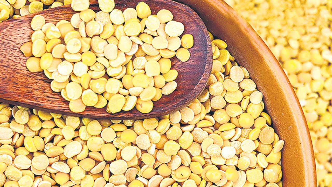 అంతే కాకుండా జీర్ణ సమస్యలతో బాధపడుతున్నవారు, కడుపు ఉబ్బరం, గ్యాస్ట్రిక్ సమస్యలు ఉన్నవారు కూడా కంది పప్పు తినడం మంచిది కాదు అంటున్నారు నిపుణులు. జీర్ణ సమస్యలు ఉన్నవారు కంది పప్పు తినడం వలన ఇది మల బద్ధకం వంటి సమస్యలు పెరిగే ప్రమాదం ఉన్నదంట, అంతే కాకుండా, కడుపు నొప్పి వంటి సమస్యలు కూడా పెరిగే ఛాన్స్ ఉన్నదంట