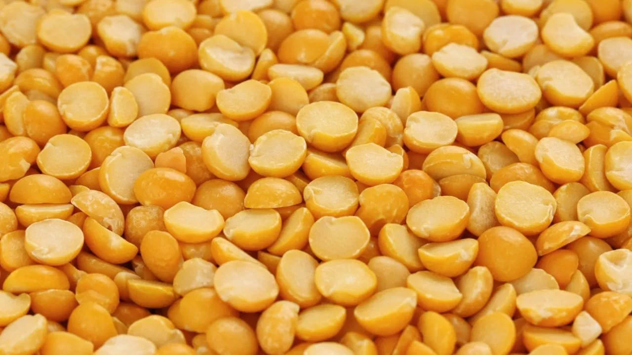 ఇక కంది పప్పు ఆరోగ్యానికి చాలా మంచిది.  కంది పప్పులో, ప్రోటీన్ , ఫైబర్ పుష్కలంగా ఉండటం వలన ఇది ఆరోగ్యానికి చాలా మేలు చేస్తుంది. కానీ ఇది కొంత మందికి చాలా ప్రమాదకరం అంటున్నారు ఆరోగ్య నిపుణులు. కొందరు కంది పప్పు తినడం వలన అనేక సమస్యలు వచ్చే ప్రమాదం ఉన్నదంట, వారు ఎవరంటే?