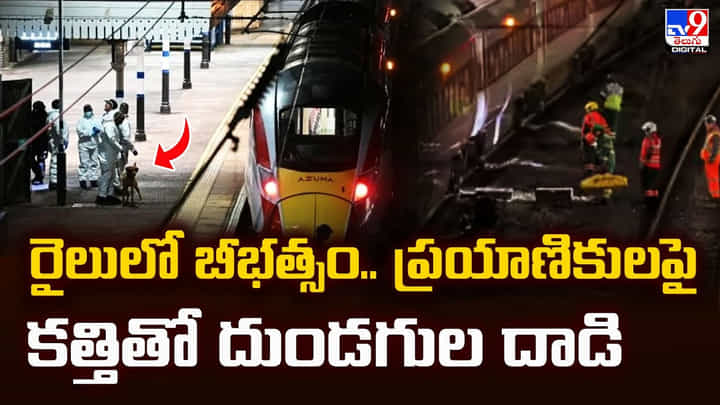 రైలులో బీభత్సం.. ప్రయాణికులపై కత్తితో దుండగుల దాడి రైలులో బీభత్సం.. ప్రయాణికులపై కత్తితో దుండగుల దాడి