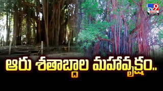 Viral Video: ఇది చూశాకా మీరు కూడా వావ్‌.. హైడ్రానా మాజాకా అనకపోతే ఒట్టు… ఎండిపోయిన చెరువుకు జీవం పోస్తే ఇలా ఉంటుంది