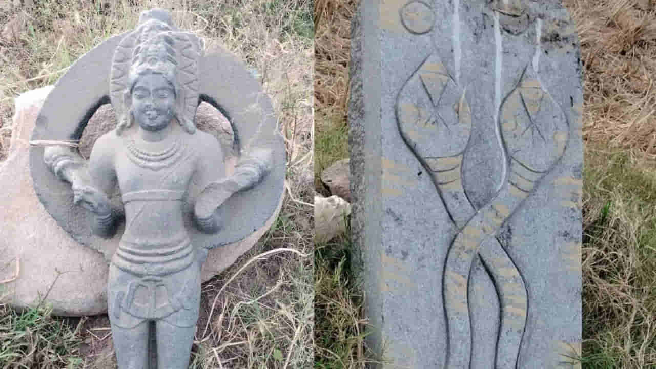 Viral: పొలం చదును చేస్తుండగా కనిపించిన మెరిసేటి రాయి.. ఏంటా అని పరిశీలించగా