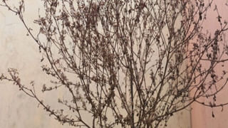 అమావాస్య రోజున ఈ పనులు చేస్తే.. మీకే రిస్క్.. ఇదుగో ప్రూఫ్..