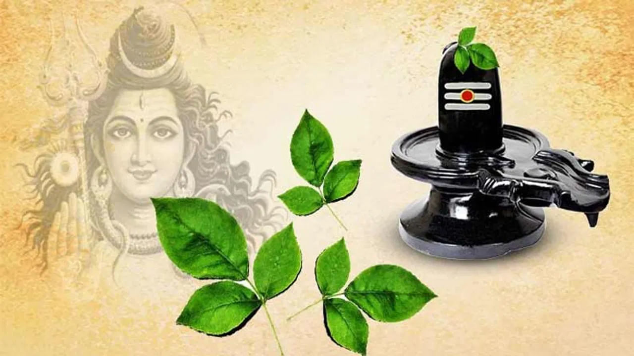 అదే విధంగా తులసి మొక్కకు శివ పూజకు ఉపయోగించిన ఏ వస్తువు కూడా సమర్పించకూడదు అని చెబుతున్నారు పండితులు. బిల్వ పత్రాలు, పారిజాత పూలు ఇలా ఏవైనా సరే శివుడికి సమర్పించినవి తులసికి సమర్పించకూడదు. ఎందుకంటే, శివుడు తులసి భర్తను చంపడం వలన తులసికి, శివుడికి మధ్య వైరం ఉంటుందంట. అందువలన శివుడికి సమర్పించేవి, తులసి మొక్కకు సమర్పించకూడదంట.