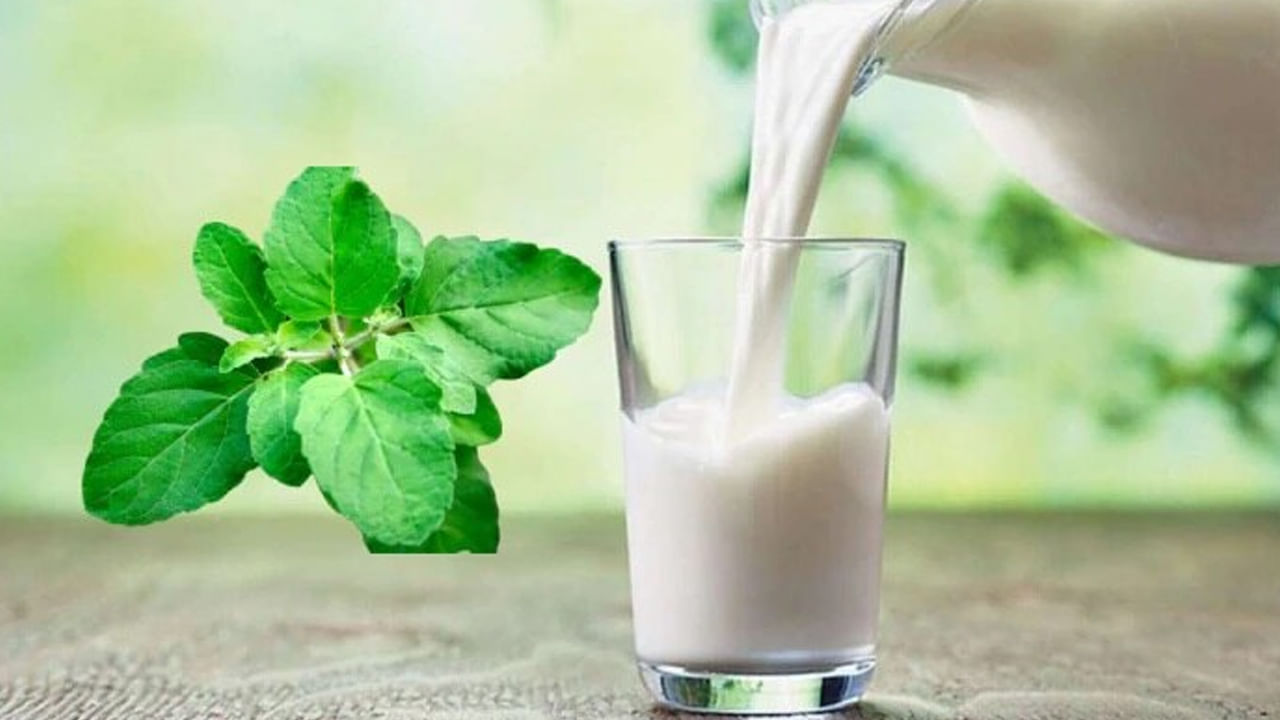 చాలా మంది తెలిసి, తెలియక తులసి మొక్కకు పాలు కలిపిన నీటిని సమర్పిస్తుంటారు. కానీ ఇది అశుభకరం. తులసి మొక్కకు పాలు కలిపిన నీళ్లు పోయడం ద్వారా మొక్క ఎండిపోయే ఛాన్స్ ఉంటుంది. దీంతో ఇంటిలో ప్రతికూల శక్తి పెరిగిపోయి, కుటుంబ కలహాలు వంటి సమస్యలు తలెత్తుతాయంట.