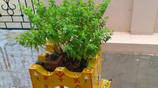 పెళ్లిలో సప్తపదికి అర్ధం ఏంటి.? అసలు ఈ ఆచారం ఎందుకు వచ్చింది.?