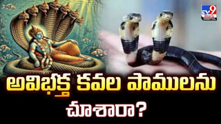 బహుబలి అరటి హస్తం..ఏకంగా 80 పండ్లు.. సెల్ఫీ దిగిన కొనుగోలుదారులు