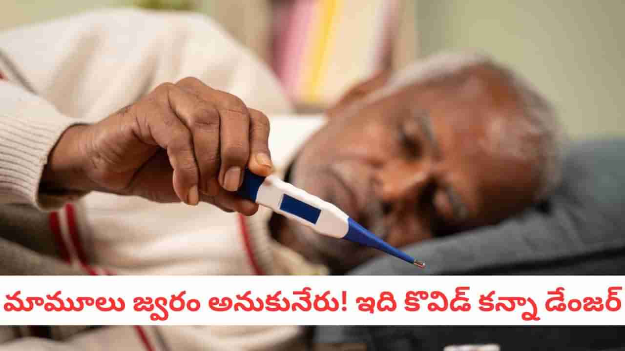 Typhoid Recovery: మీకు టైఫాయిడ్ వచ్చిపోయిందా?.. మీ శరీరంలో జరిగే మార్పులు ఇవే..