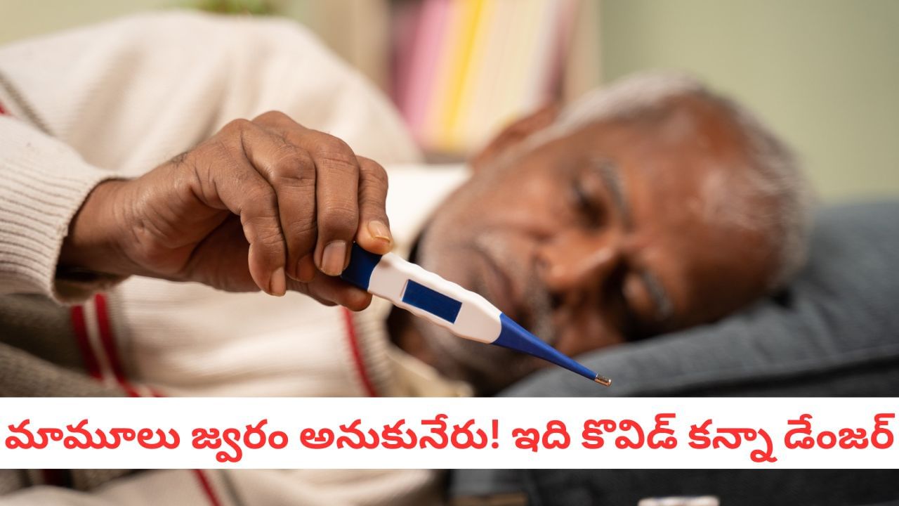 Typhoid Recovery: మీకు టైఫాయిడ్ వచ్చిపోయిందా?.. మీ శరీరంలో జరిగే మార్పులు ఇవే..