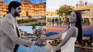 Cockroach: ప్రపంచంలోని బొద్దింకలన్నీ చనిపోతే ఏమి జరుగుతుందో తెలిస్తే షాకే..