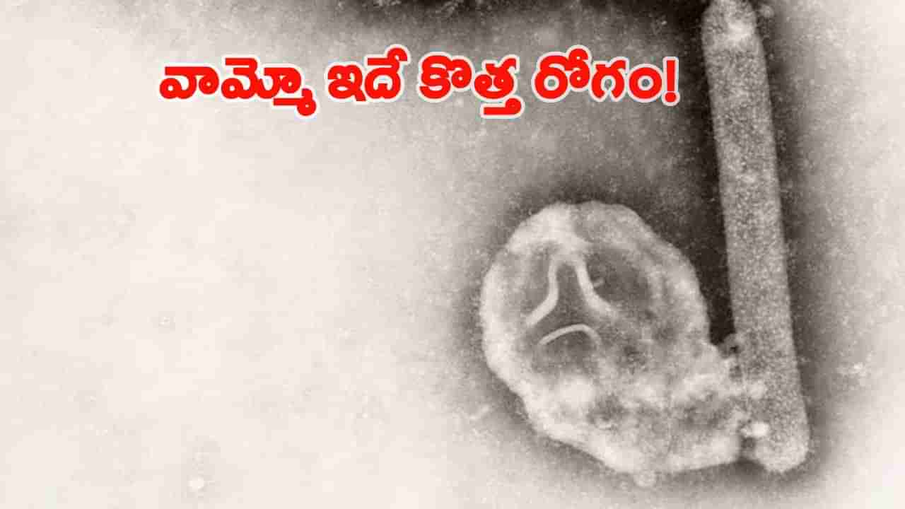 అమెరికాను వణికిస్తున్న సరికొత్త వైరస్.. ట్రంపాలజీతో షేకవుతోన్న వాషింగ్టన్..!