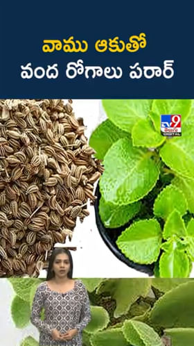ఈ ఒక్క ఆకుతో వంద రోగాలు పరార్.. రోజూ తింటే అద్భుతమే..!