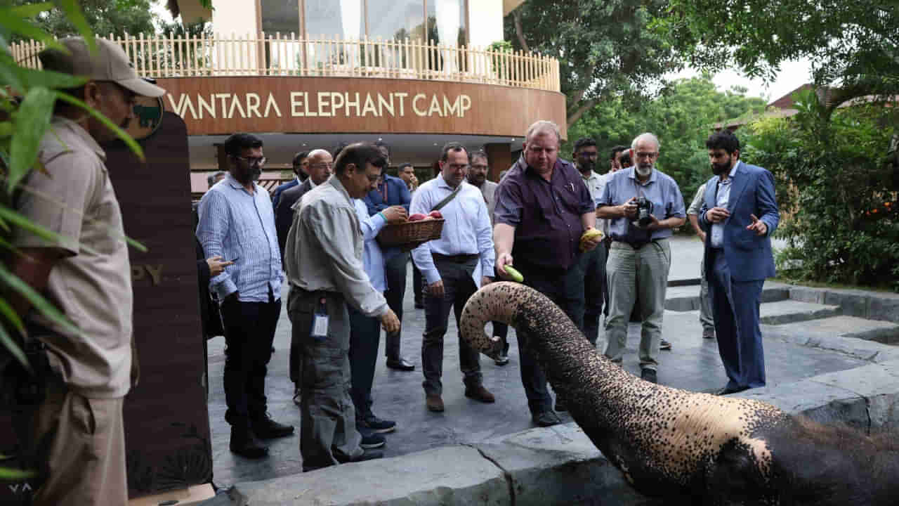 Vantara: వంతారాకు ఐరాస సంస్థ ‘సైట్స్’ ప్రశంసలు