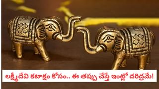 Amla Facts: ఆదివారం వద్దు.. రాత్రిళ్లు అసలే వద్దు.. ఉసిరికాయను ఇలా తింటే అలక్ష్మీ దోషం!