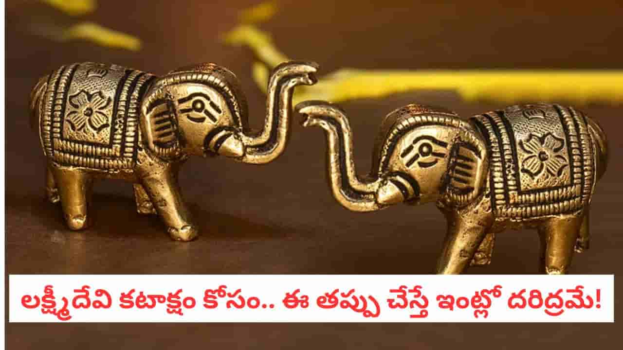 Vastu Tips: ఇంట్లో ఏనుగు విగ్రహం ఉందా? ఈ చిన్న వాస్తు దోషం మీ అదృష్టాన్ని లాగేస్తుంది!