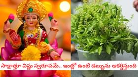 సాక్షాత్తూ విష్ణు స్వరూపమే.. ఇంట్లో ఉంటే డబ్బును ఆకర్షిస్తుంది