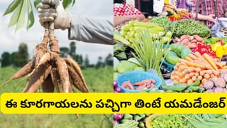 Home Remedies: మీ ఇంట్లో చెదలు పడుతున్నాయా? ఇలా చేశారంటే  చిటికెలో మటుమాయం
