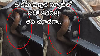 లక్ష మంది వాడిన టాయిలెట్‌ సీటు వేలం! ఛీ.. అనకండి.. అసలు కథ తెలిస్తే నేనే కొంటా అంటారు!