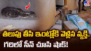 మరో మూడు రోజులు భారీ వర్షాలు వీడియో