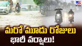 రూ.11 కోట్ల జాక్‌పాట్‌ కొట్టాడు..కానీ వీడియో