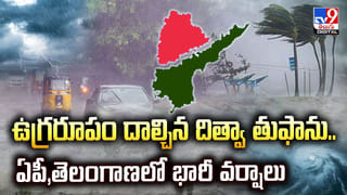 అరుదైన శివలింగం..చూస్తే జన్మ ధన్యం..వీడియో