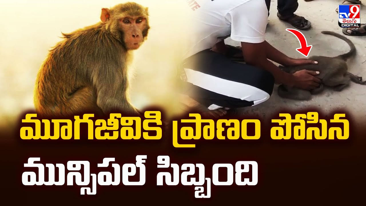 మూగజీవికి ప్రాణం పోసిన మున్సిపల్‌ సిబ్బంది వీడియో