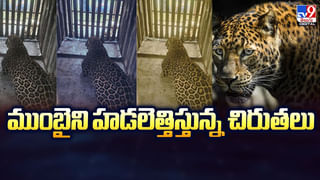 కార్మికుడి అకౌంట్లో రూ. 77 లక్షలు.. ఏం జరిగిందంటే వీడియో