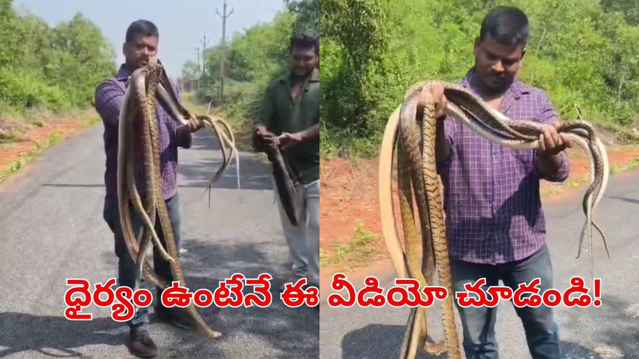 Watch: ఏంటి భయ్యా.. అవి పొట్లకాయలనుకున్నావా?.. ఆ పాములతో అతను ఏం చేశాడంటే?