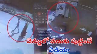 మొసలి పంటికి చిక్కిన పైథాన్‌.. హోరాహోరీ పోరులో గెలిచింది ఎవరో చూస్తే..