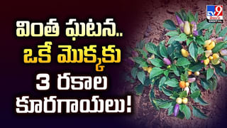 ఇదేం.. ఖర్మ రా నాయనా !! ప్రేమించి పెళ్లి చేసుకున్న ఇద్దరు మహిళలు