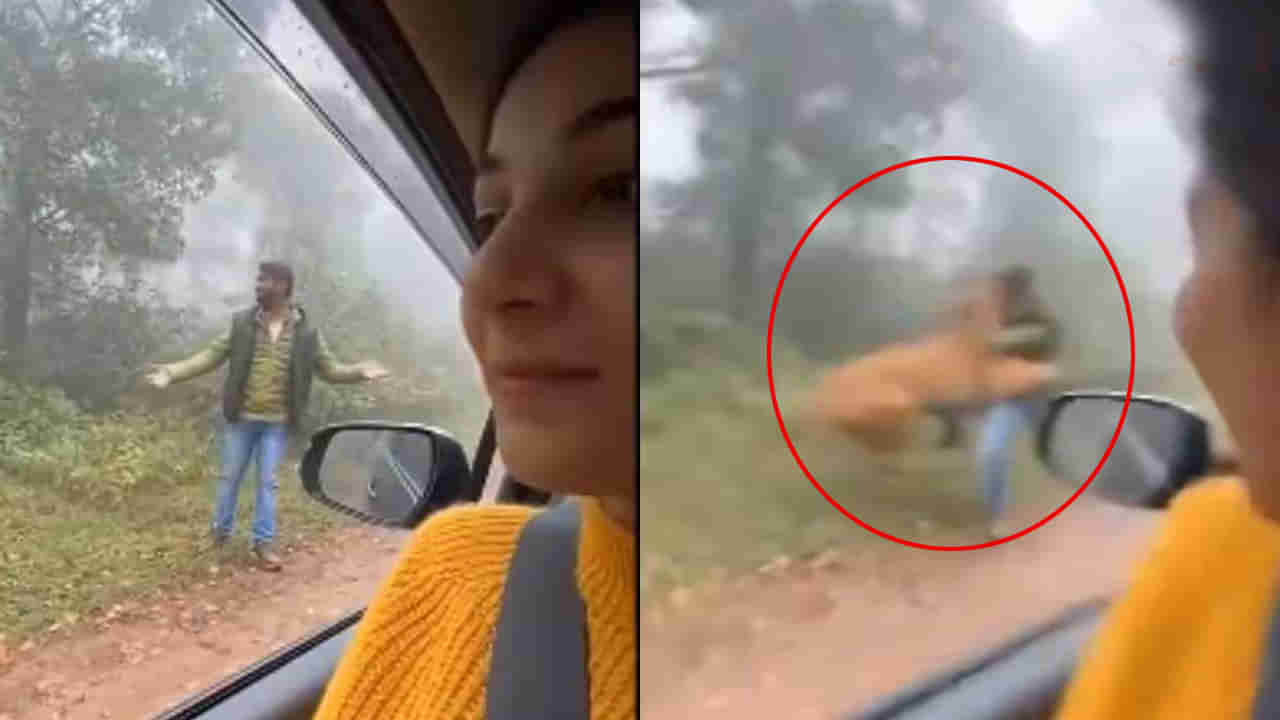 Viral Video: ప్రియురాలి ముందు బాయ్‌ఫ్రెండ్‌ ఫోటోలకు ఫోజులు.. అంతలోనే పులి వచ్చి ఏం చేసిందో చూడండి.. వీడియో వైరల్‌