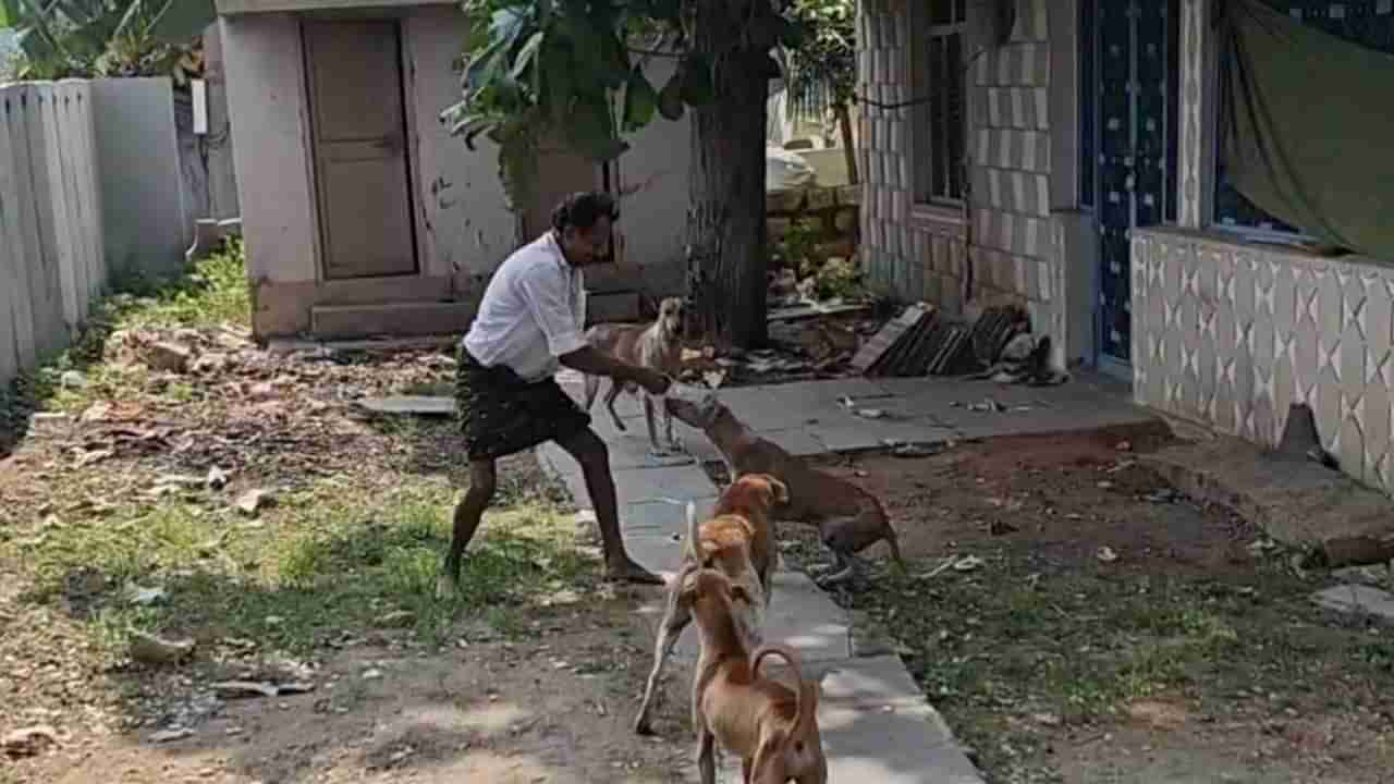 Watch Video: డబ్బాలో ఇరుక్కుపోయిన కుక్క తల.. తిసేందుకు ప్రయత్నించిన వ్యక్తి.. చివరకు