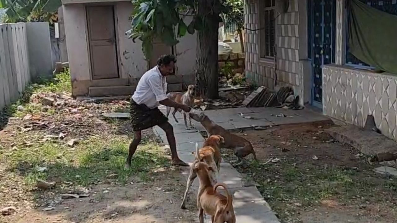 Watch Video: డబ్బాలో ఇరుక్కుపోయిన కుక్క తల.. తిసేందుకు ప్రయత్నించిన వ్యక్తి.. చివరకు