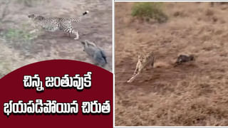 Viral Video: రైల్వే బ్రిడ్జిపై మృత్యువుతో ఆటలా.. ఒళ్లు గగుర్పాటుకు గురి చేస్తున్న వీడియో!