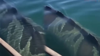 అద్భుతం.. ఆకాశం నుంచి బెడ్రూంలోకి దూసుకొచ్చిన ఉల్క.. ప్రాణాలతో బయటపడ్డ మహిళ..