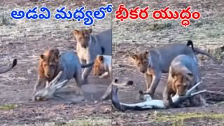 New Trend 2025: అందం అంటే ఆడవాళ్లకే సొంతం కాదు.. మగవాళ్లూ మెరిసిపోతున్నారు!