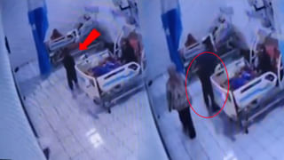 దేశంలోనే అతి చిన్న రైలు..కేవలం 3 కోచ్‌లతో ప్రయాణం మరుపురాని జ్ఞాపకం..