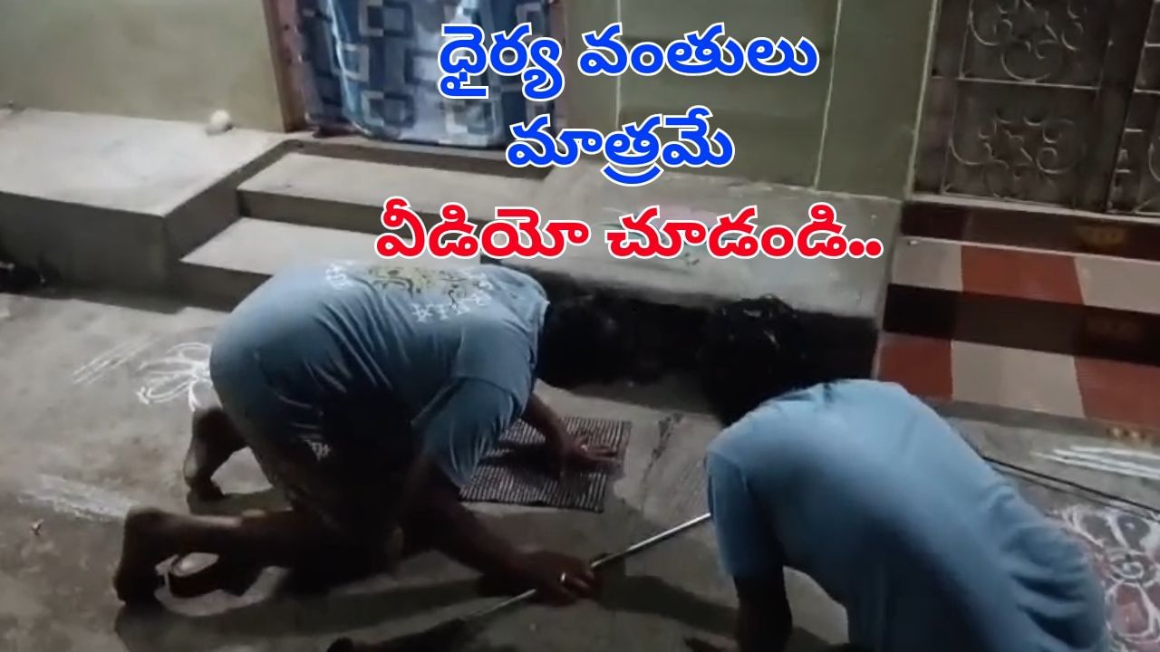 Watch: కాలువలో వింత శబ్ధాలు.. తొంగి చూస్తే.. షాకింగ్ సీన్!.. ధైర్యవంతులు మాత్రమే ఈ వీడియో చూడండి!