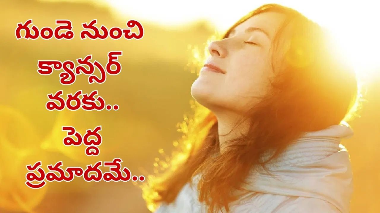 Health Tips: వామ్మో.. ఈ ఒక్క విటమిన్ లోపంతో 17రకాల క్యాన్సర్ల ముప్పు.. గుండెకు పెద్ద ప్రమాదమే..