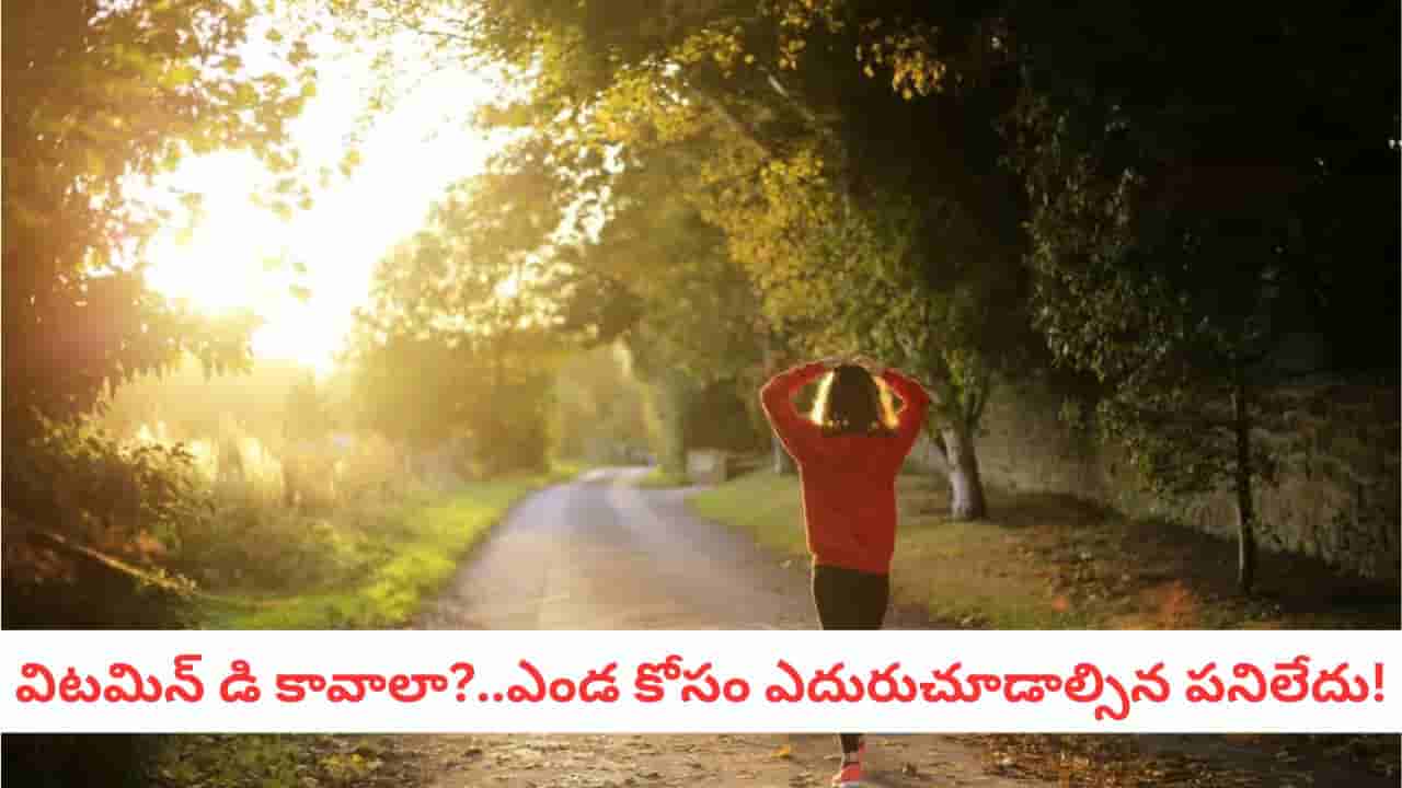 Vitamin D Boost: శీతాకాలంలో డి-విటమిన్ లెవెల్స్ పెంచే 3 ఫుడ్ సీక్రెట్స్! ఎండతో పనేలేదు!