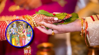 మగ సింహం చెంప చెల్లుమనిపించిన ఆడ సింహం.. తర్వాత ఏం జరిగిందో తెలుసా?