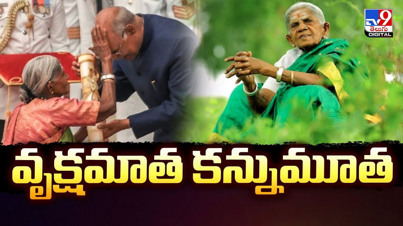 వృక్షమాత కన్నుమూత వీడియో వృక్షమాత కన్నుమూత వీడియో