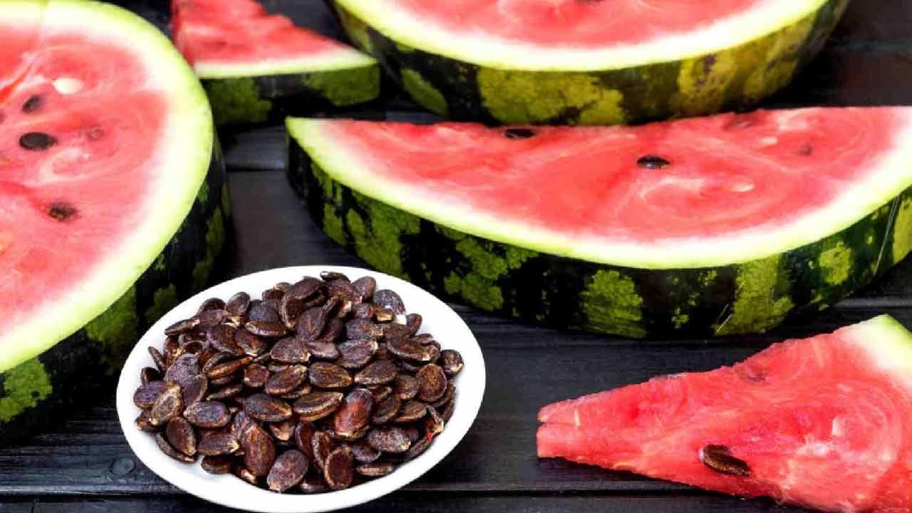 పుచ్చకాయ గింజల్లో మంచి మొత్తంలో ఫైబర్ ఉంటుంది. ఇది జీర్ణవ్యవస్థను ఆరోగ్యంగా ఉంచడంలో సహాయపడుతుంది. పుచ్చకాయ గింజలలో ఉండే మెగ్నీషియం, 
ప్రోటీన్ రక్తంలో చక్కెర స్థాయిలను నియంత్రించడంలో సహాయపడతాయి. 