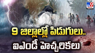 Andhra: ఆమె లోపలికి పోయింది.. ఇయన కథ మొదలైంది.. లేడీ డాన్ మాజీ భర్త అరాచకాలు..