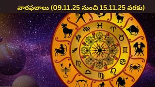 Marriage Astrology: తులా రాశిలో శుక్రుడు…ఈ రాశుల వారికి వివాహ యోగం! ఇందులో మీ రాశి ఉందా?
