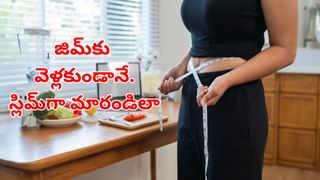 2026లో లక్ష్మీ దేవి అనుగ్రహం వీరిపైనే.. కట్టలు కట్టలుగా డబ్బు సంపాదించడం ఖాయం!