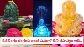 Vastu Tips:ఇంట్లో దేవుడి మందిరం ఉన్న చోట పొరపాటున కూడా ఈ పనులు చేయకండి..